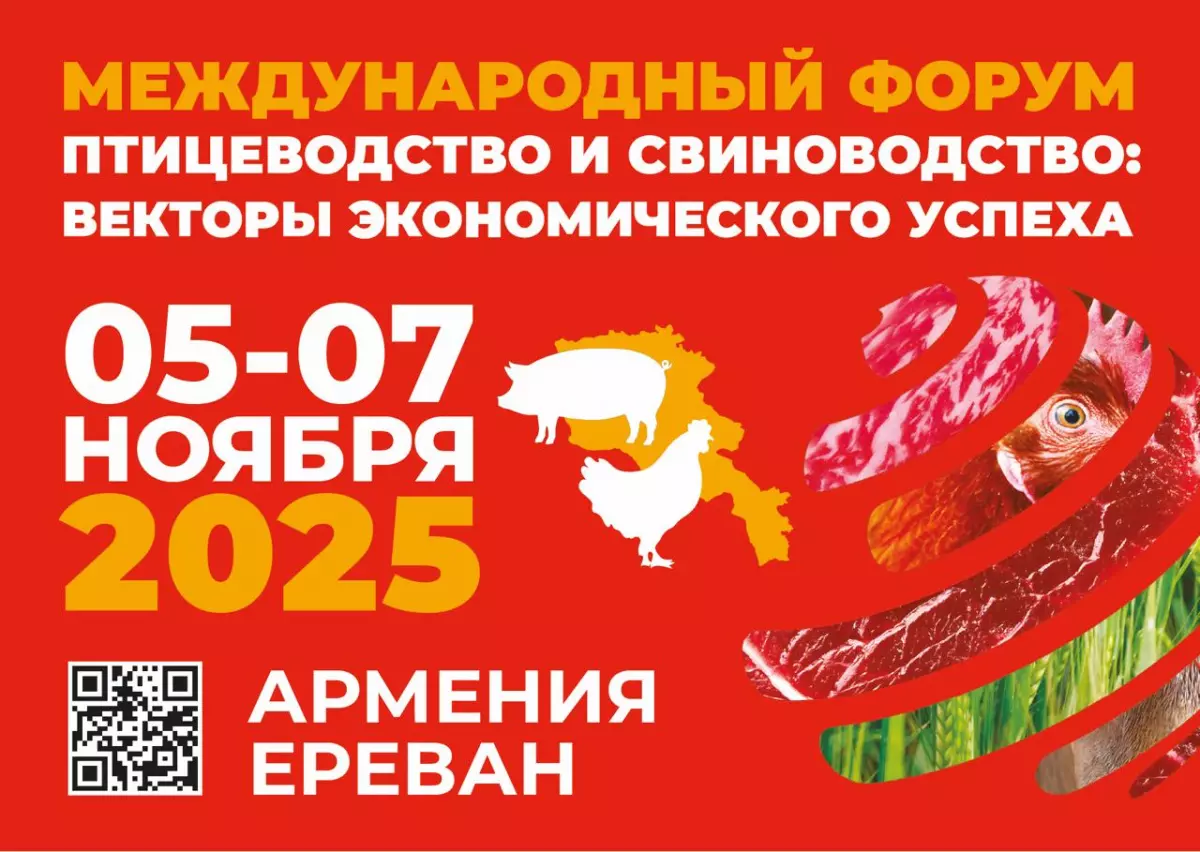 Птицеводство и свиноводство: векторы экономического успеха