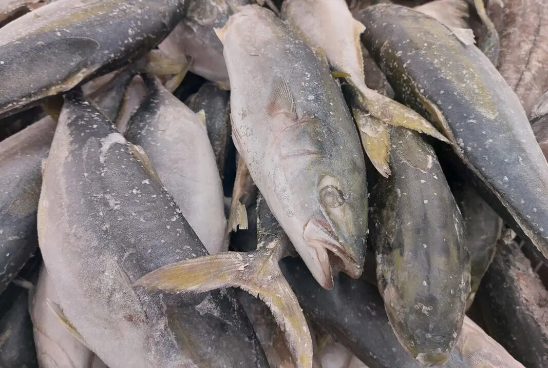 Россиян будут чаще кормить рыбой в школах и больницах