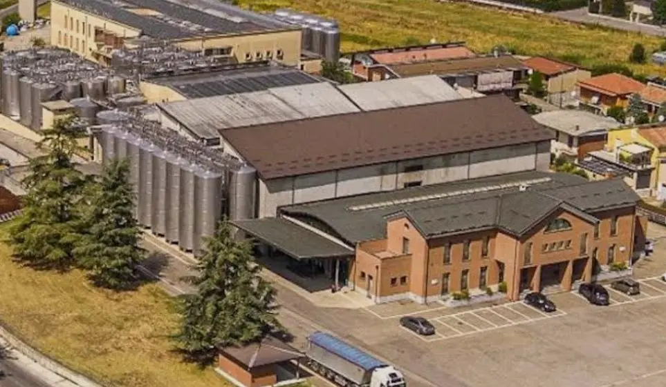 Кооператив Terre d'Oltrepò может войти в альянс с Collis Veneto Wine Group