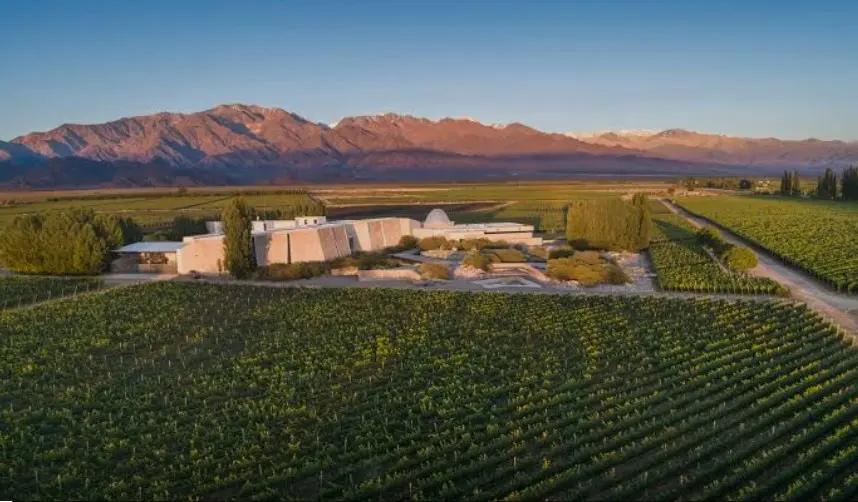 Руководители винодельни Zuccardi Valle de Uco назвали 2025 год выдающимся