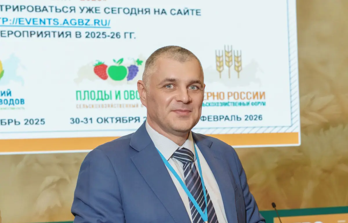 Стратегия зерна