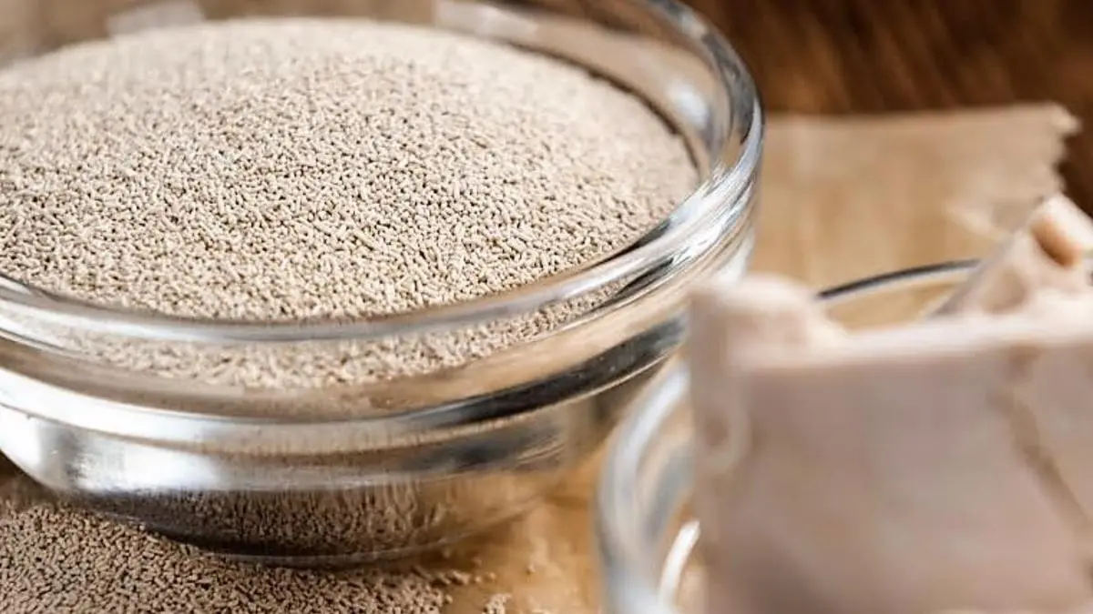 Разные типы дрожжей - когда их использовать: советы, которые улучшат выпечку