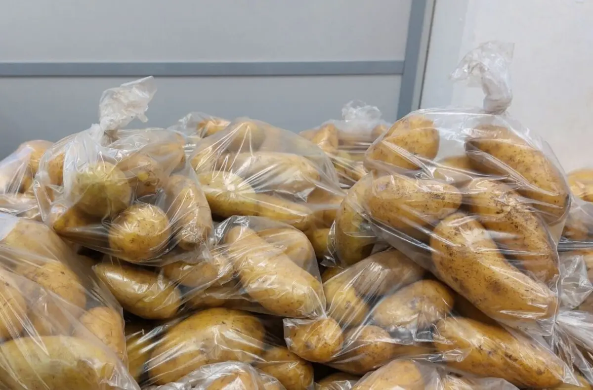 Российские аграрии опасаются дешевой египетской картошки