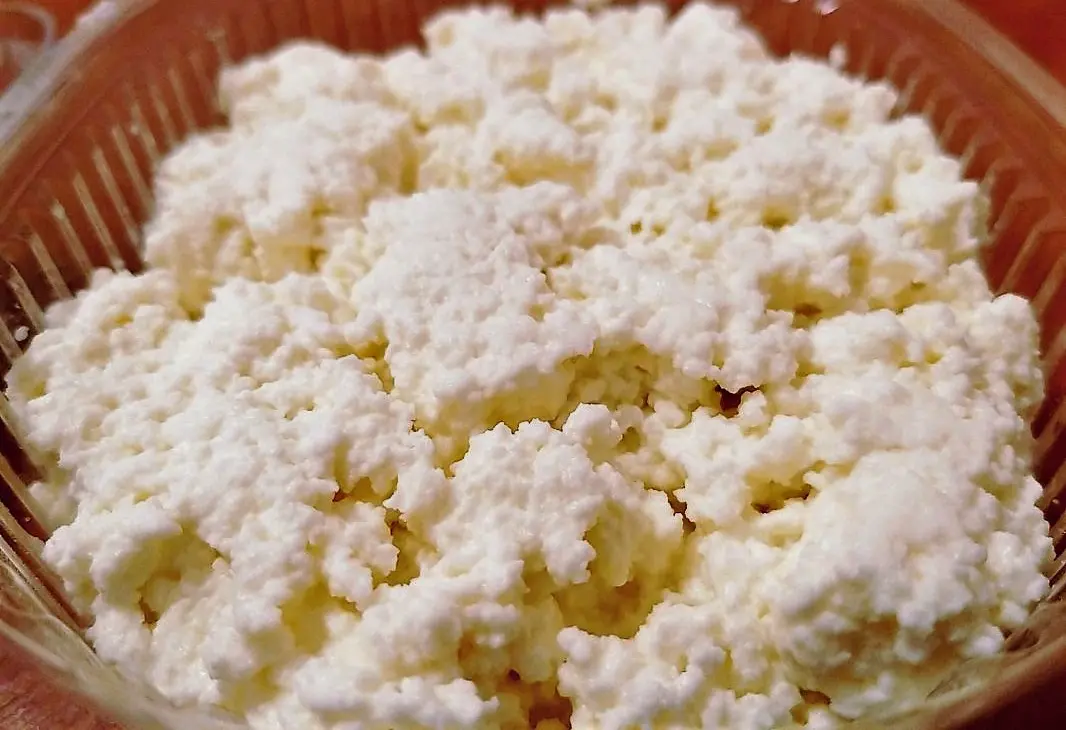 Больше половины проверенного в магазинах творога оказалось фальсификатом