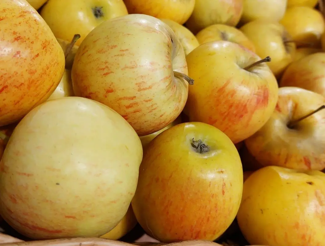 Глава Россельхознадзора предложил сокращать импорт яблок и груш