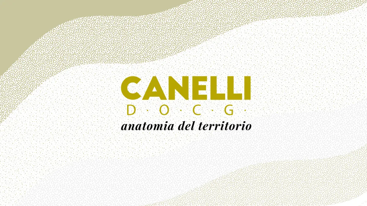 Контроль над DOCG Canelli передали Valoritalia