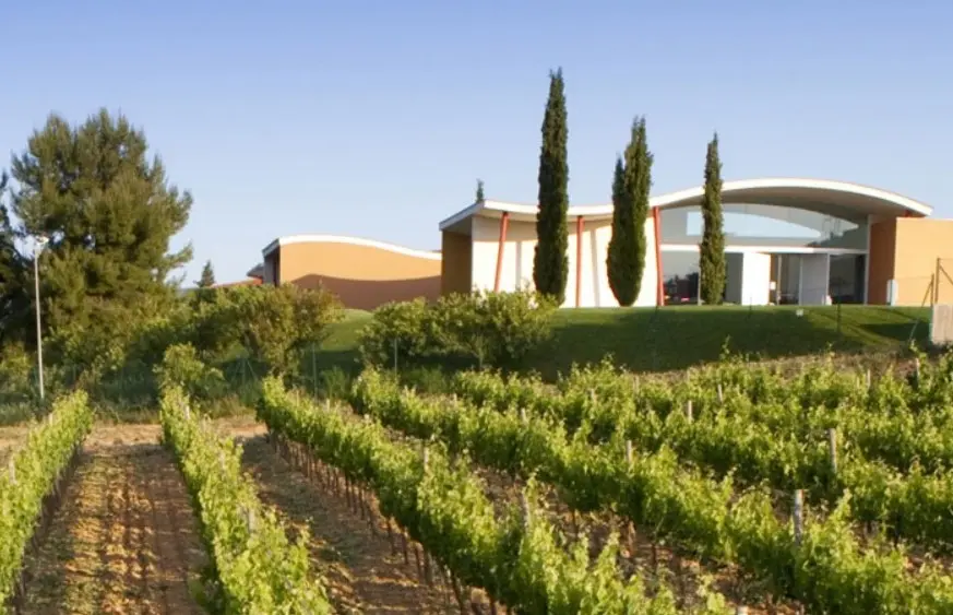 В DO Penedes начали выпускать игристое из автохтонного сорта Форкада