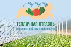 Баланс спроса и предложения тепличной продукции. Прогнозы изменения соотношения сил и конкуренции