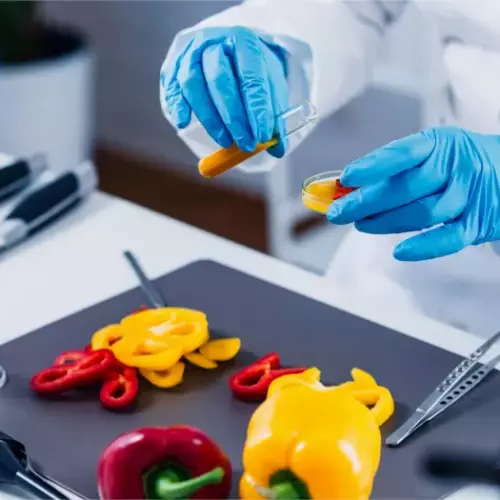 Услуги и сервисы