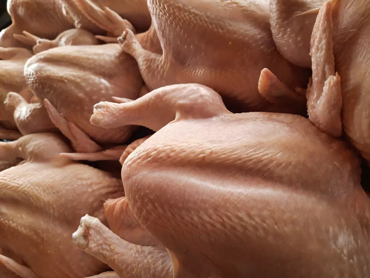 Кожа тушки птицы