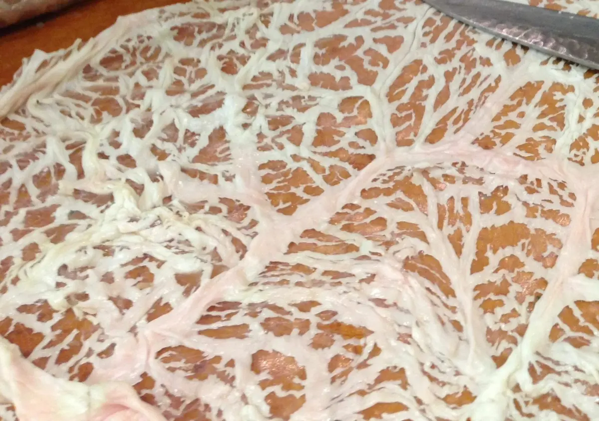 Сетка жвачного животного