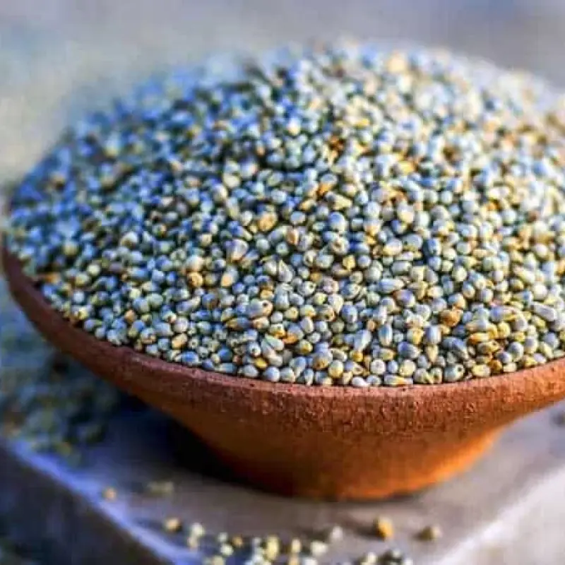 Просо обыкновенное